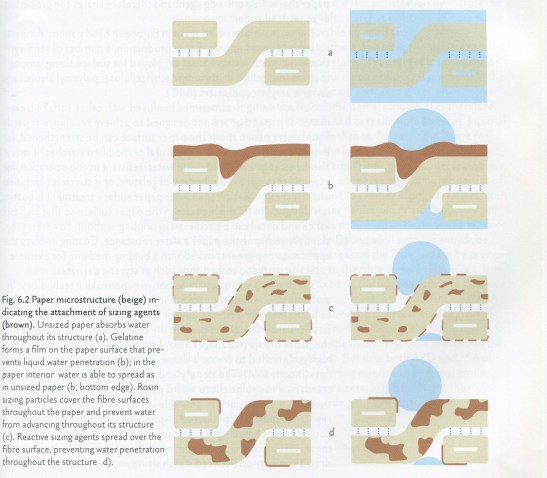 The Effect of Sizing on Paper-Water Interaction (Banik and Brückle, 2011)
